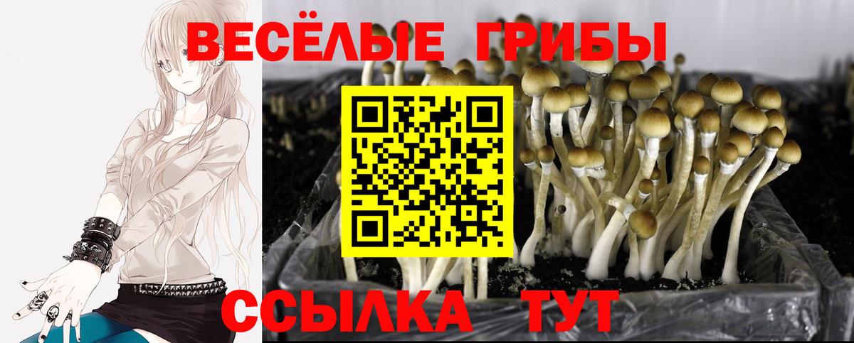 Галлюциногенные грибы ЛСД Самара